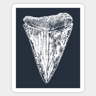 Great White Shark Tooth Sticker